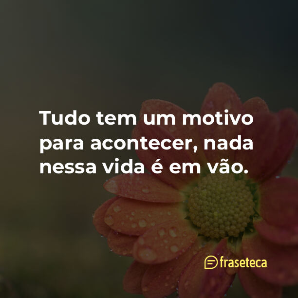 Tudo tem um motivo para acontecer, nada nessa vida é em vão. ✌