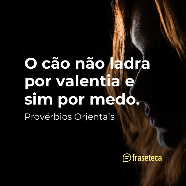 O cão não ladra por valentia e sim por medo.