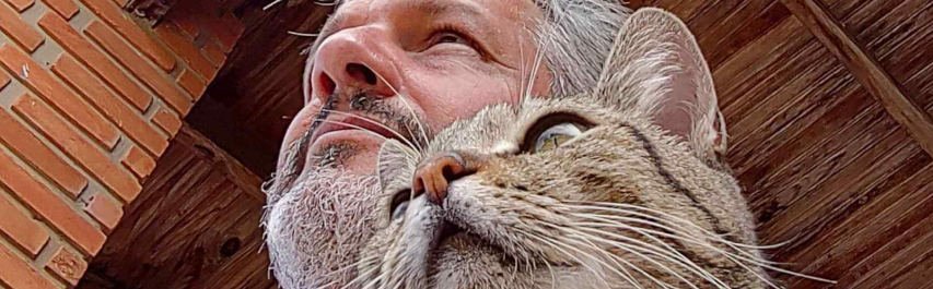 Imagem de: Frases por Wesley Damico 