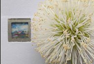 Frases por Wesley Damico